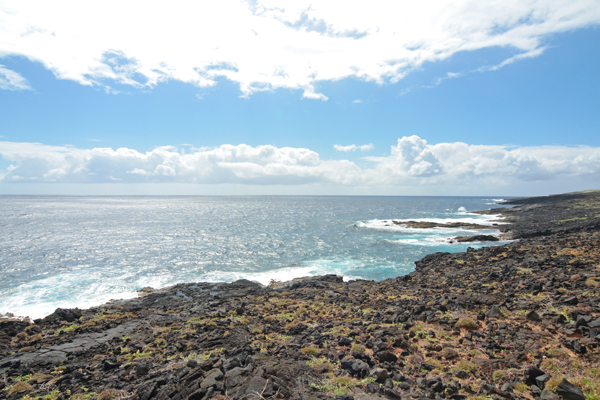 Naalehu real estate - Mamalahoa Highway - Naalehu HA homes for sale