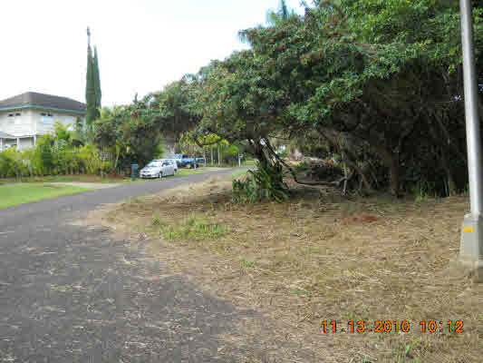 AHOPUEO DR, Kalaheo, HI 96741