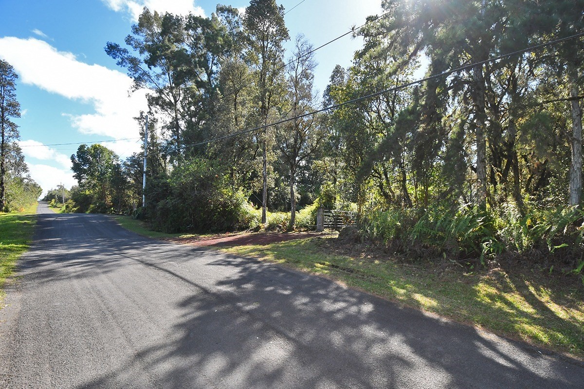 Big Island Listing Image