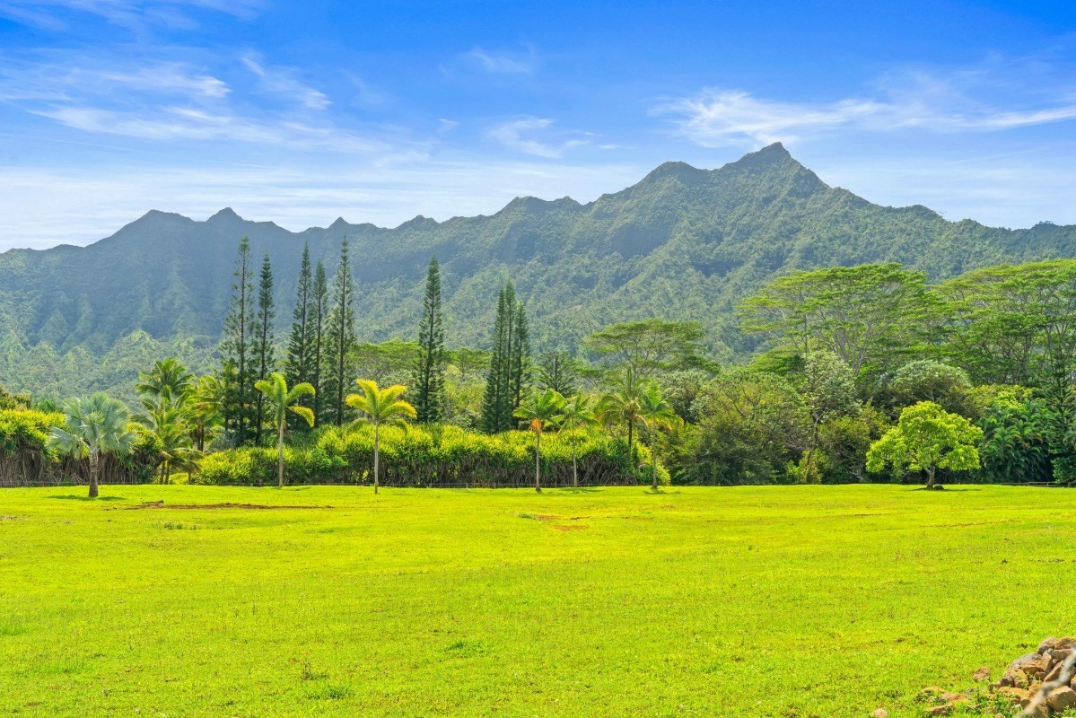 Kauai Listing Image