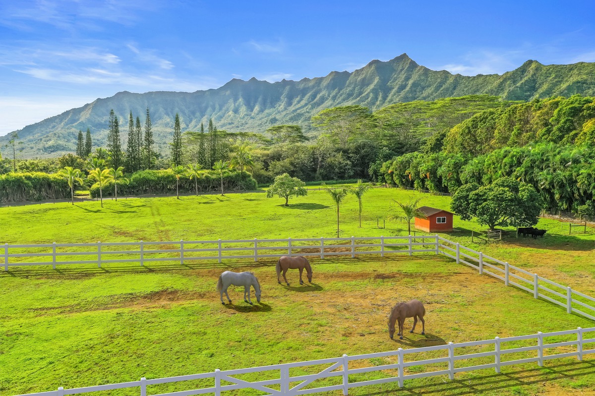 Kauai Listing Image