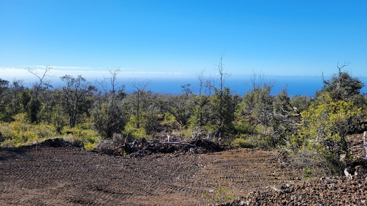 92-8429 Reef Makai Circle OCEAN VIEW HI 96737