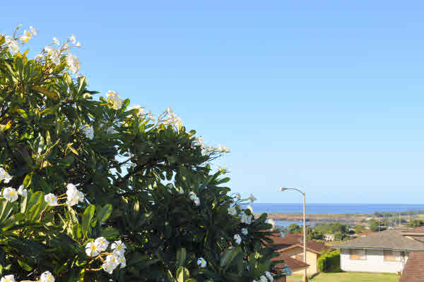 4569 ULUPUA ST, ELEELE, HI, 96705, USA