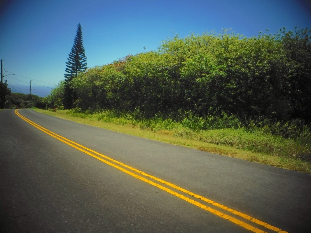 Big Island Listing Image