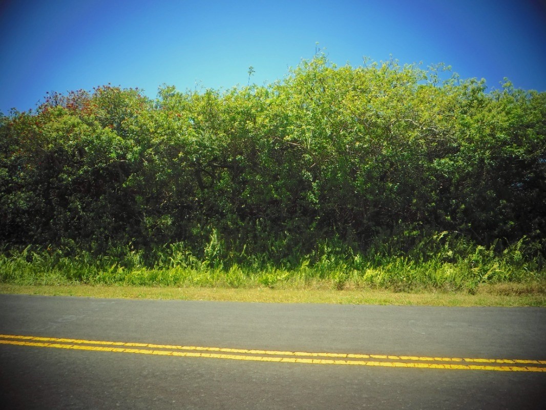 Big Island Listing Image