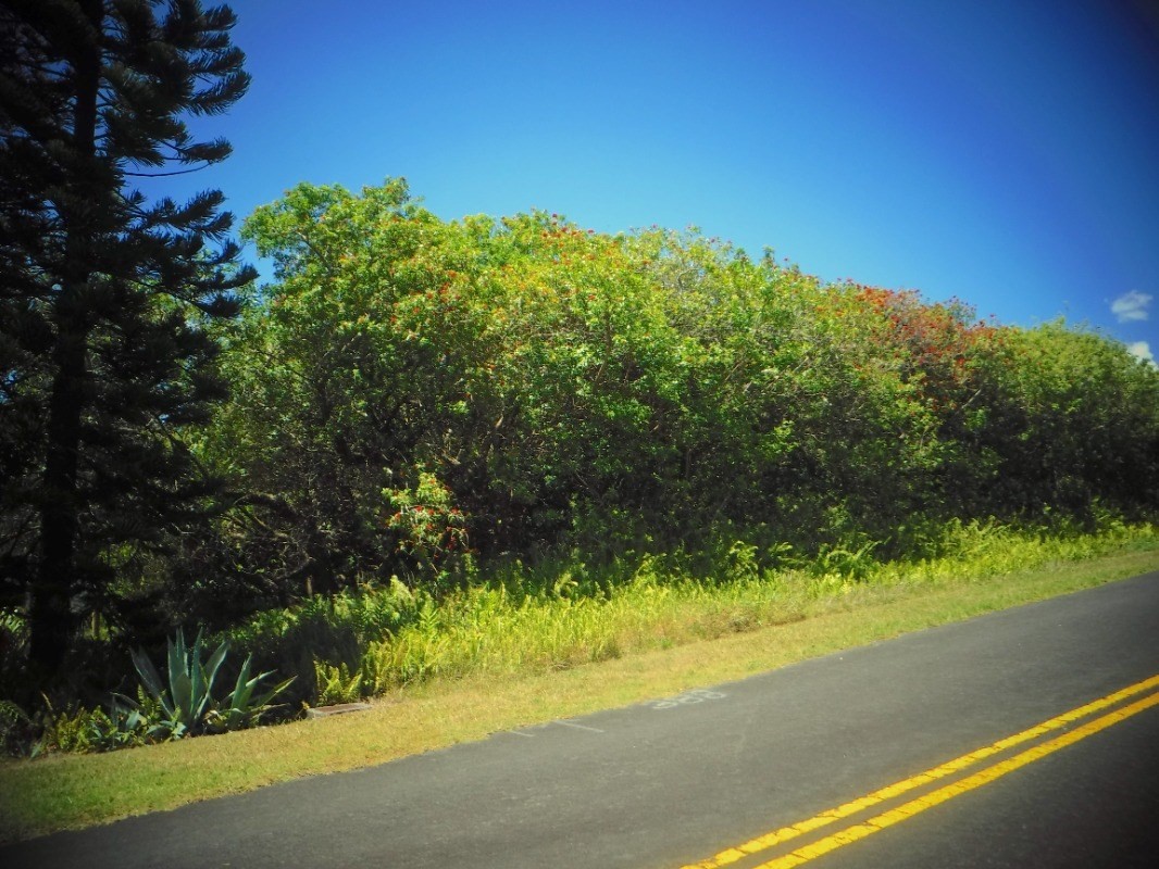 Big Island Listing Image