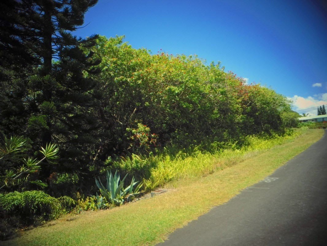 Big Island Listing Image