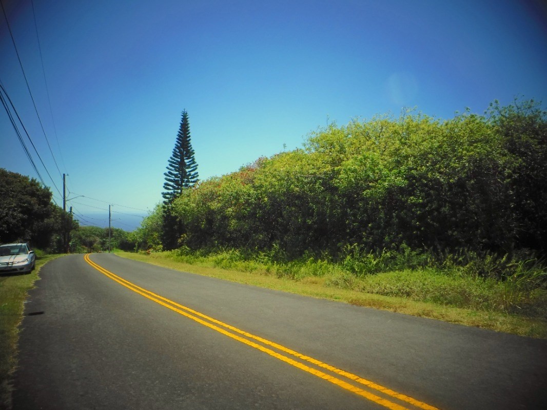 Big Island Listing Image