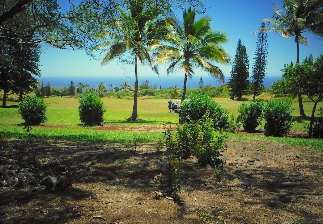 Big Island Listing Image
