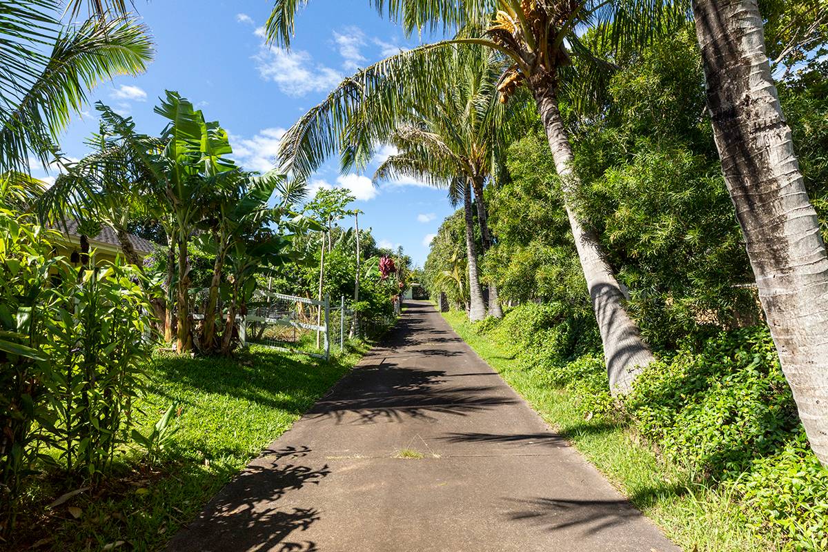 Big Island Listing Image