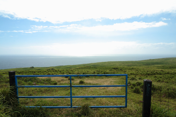 Mamalahoa Highway, NAALEHU, HI, 96772, USA