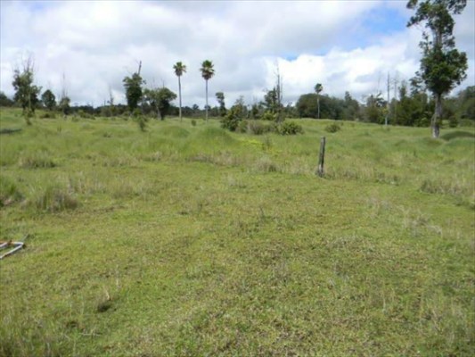 18-4510 MAKAALA RD MOUNTAIN VIEW HI 96771