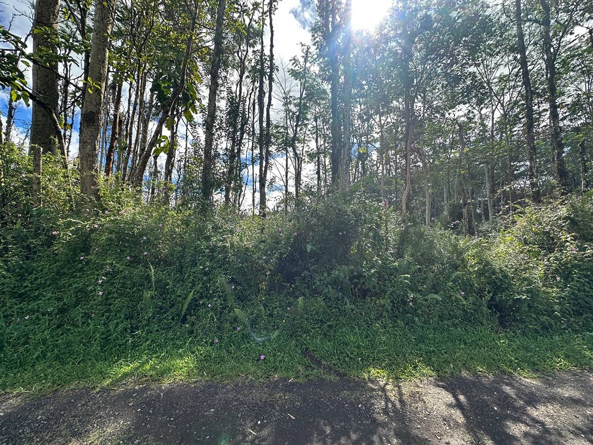 HAWAII RD PAHOA HI 96778