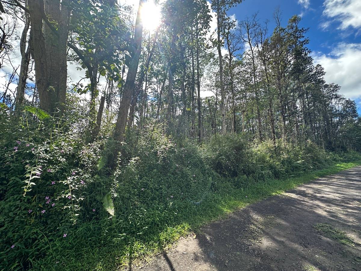 Big Island Listing Image