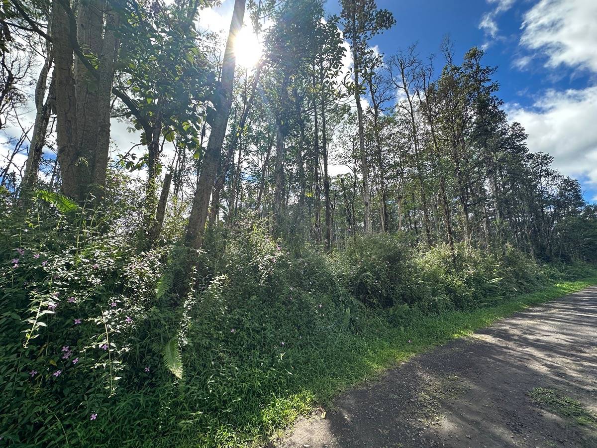 Big Island Listing Image