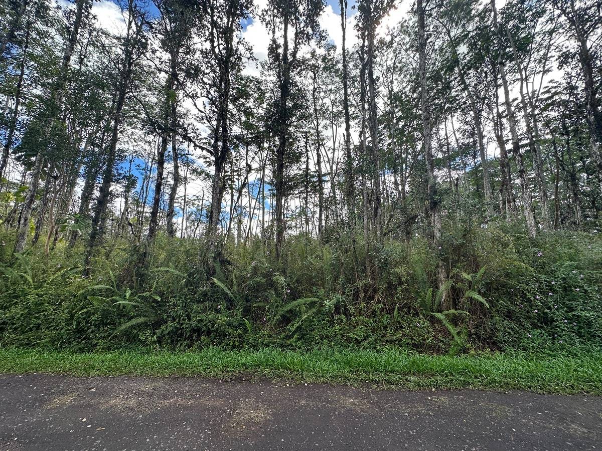 Big Island Listing Image