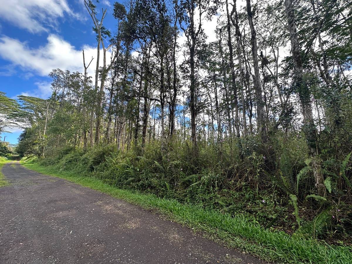 Big Island Listing Image