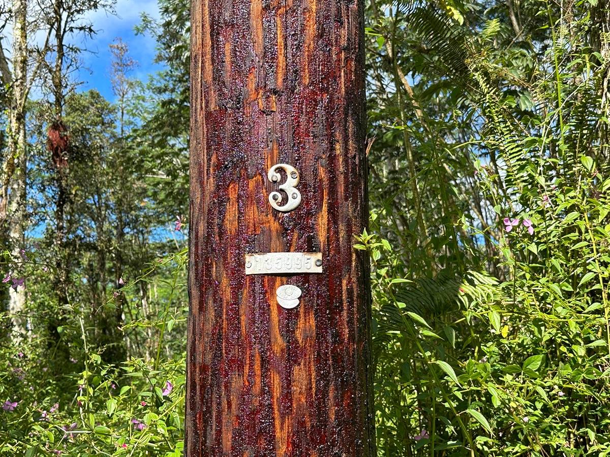 Big Island Listing Image