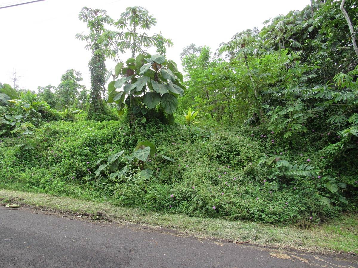 15-2740 PAPAI ST PAHOA HI 96778