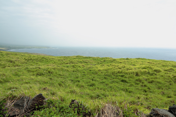 Mamalahoa Highway main photo Naalehu real estate - Mamalahoa Highway - Naalehu HA homes for sale
