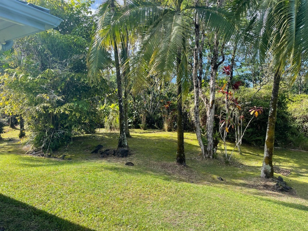 Big Island Listing Image