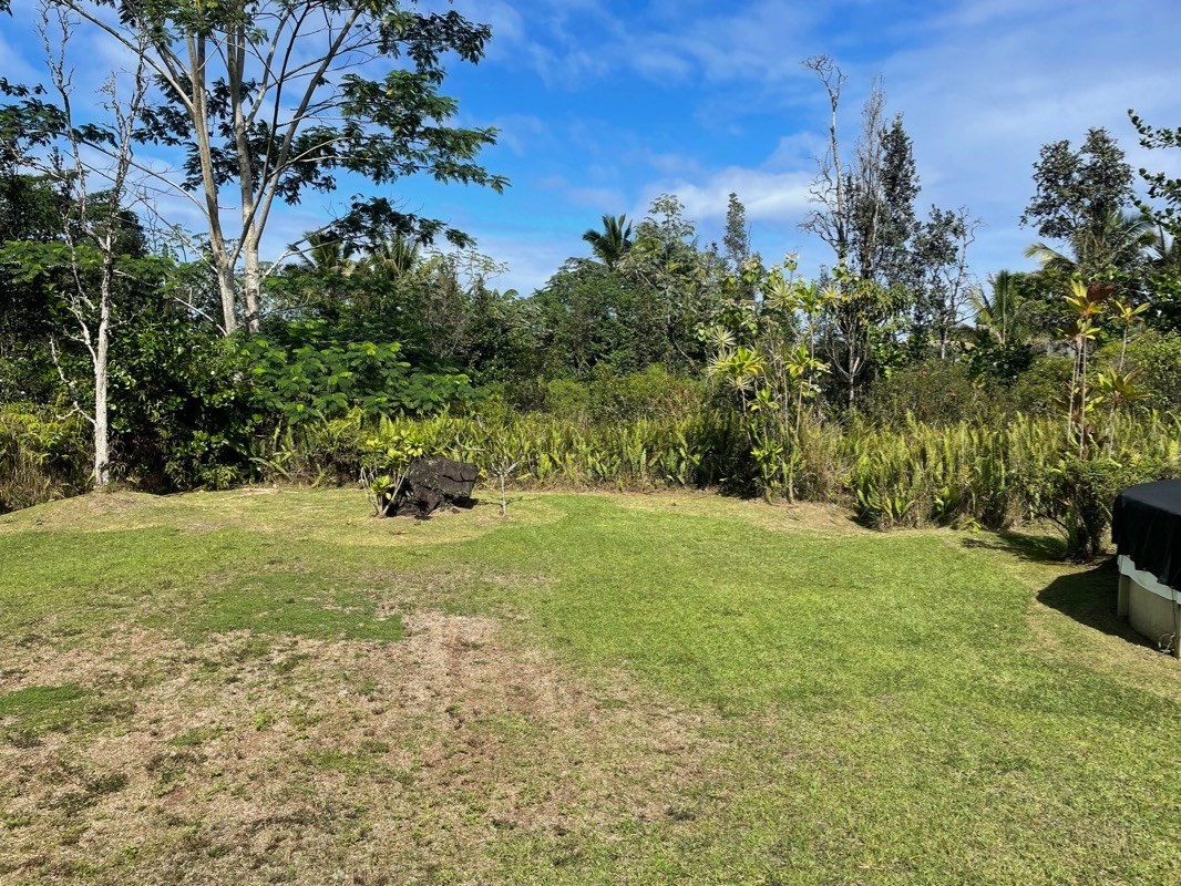Big Island Listing Image