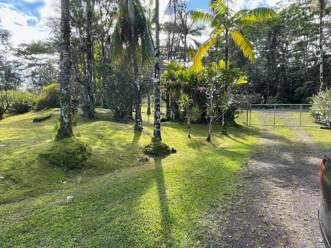 Big Island Listing Image