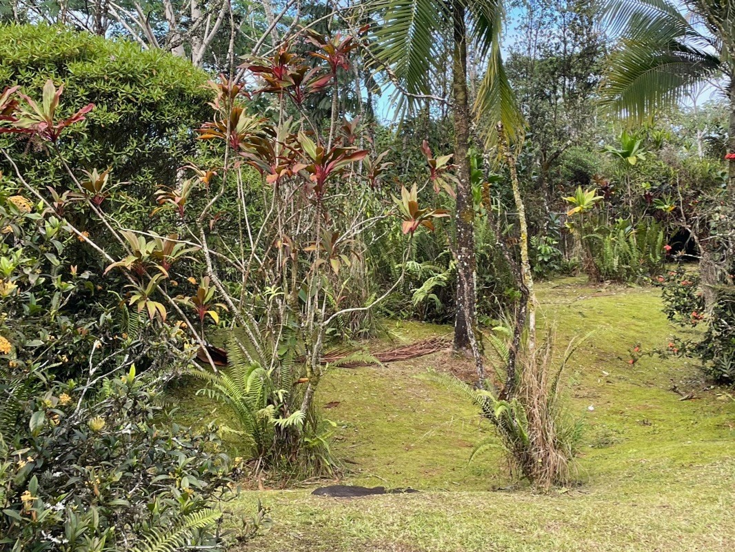 Big Island Listing Image