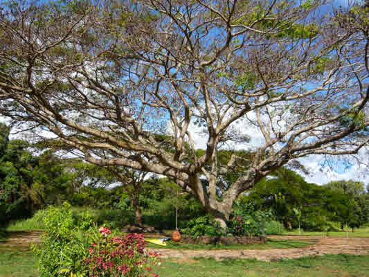 5311 Hauaala Rd, KAPAA, HI, 96746, USA