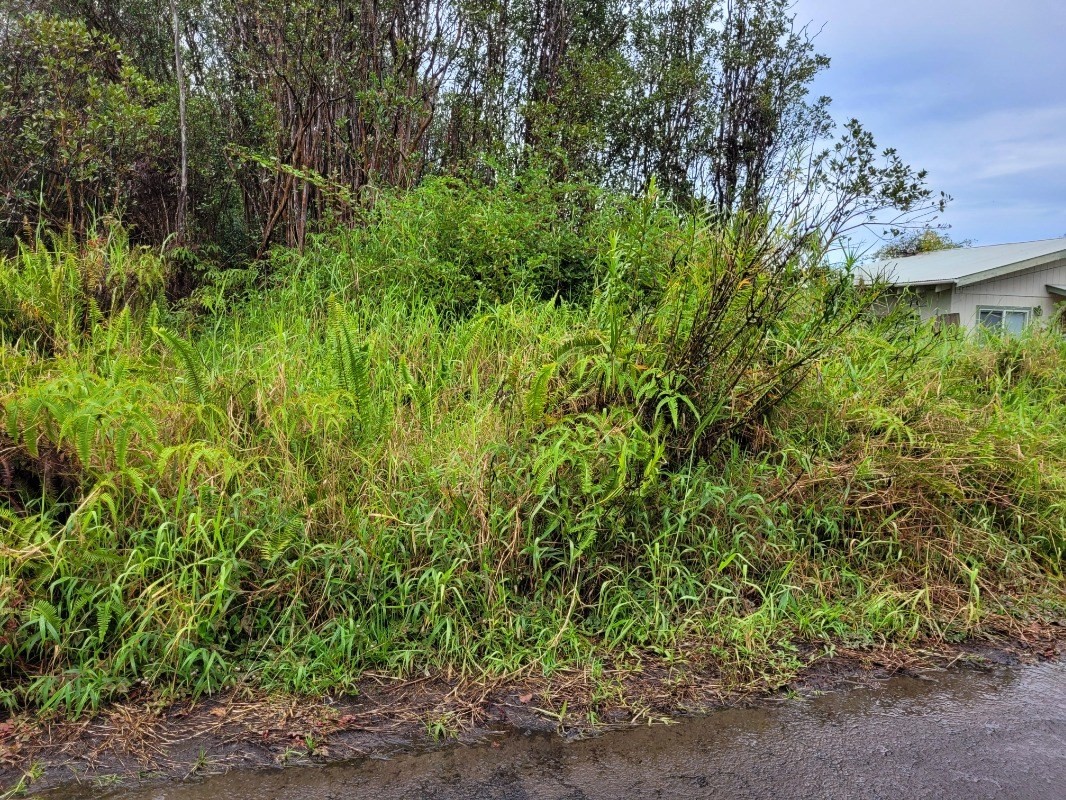 Big Island Listing Image