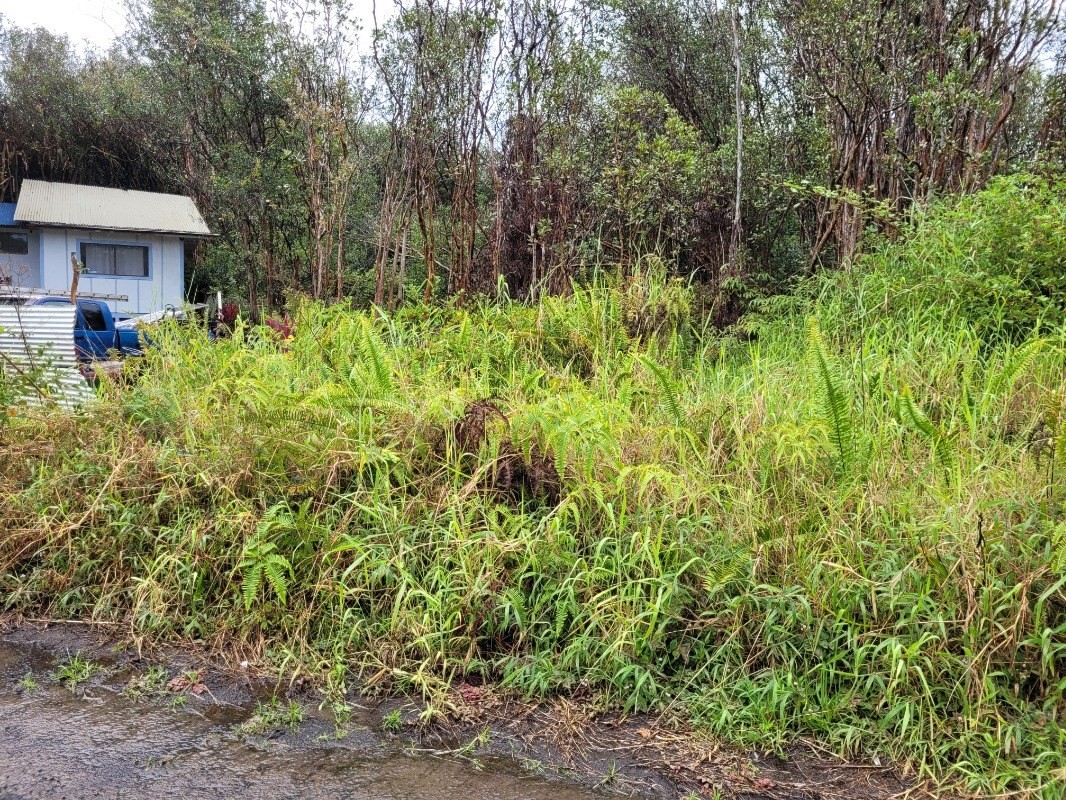 Big Island Listing Image