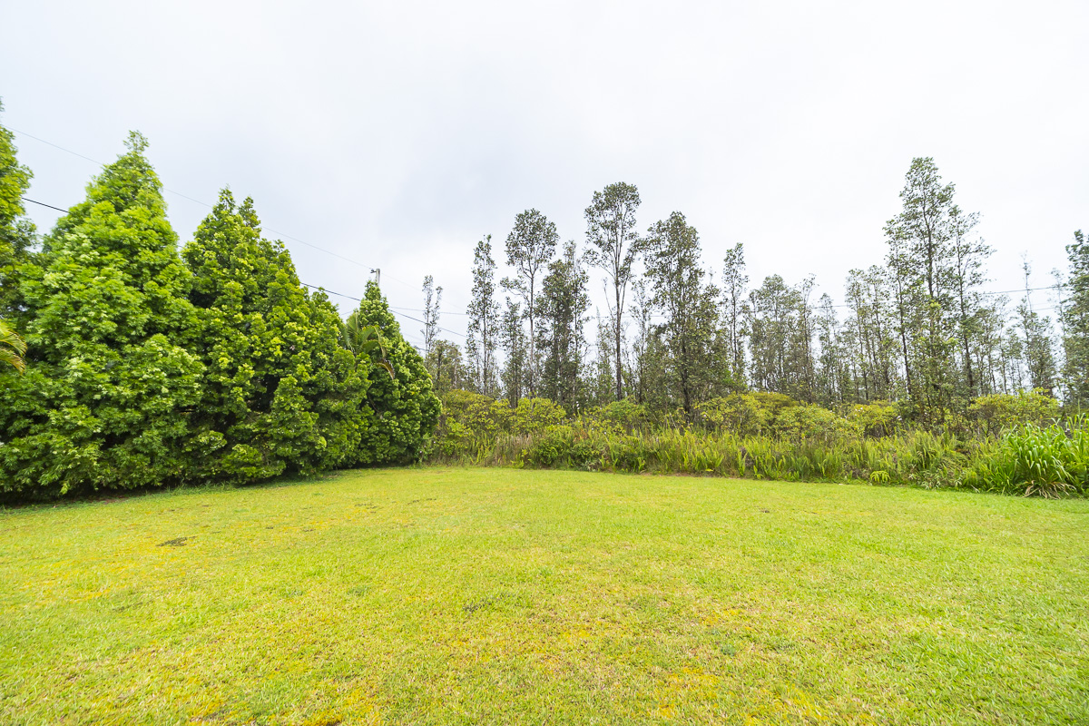 Big Island Listing Image