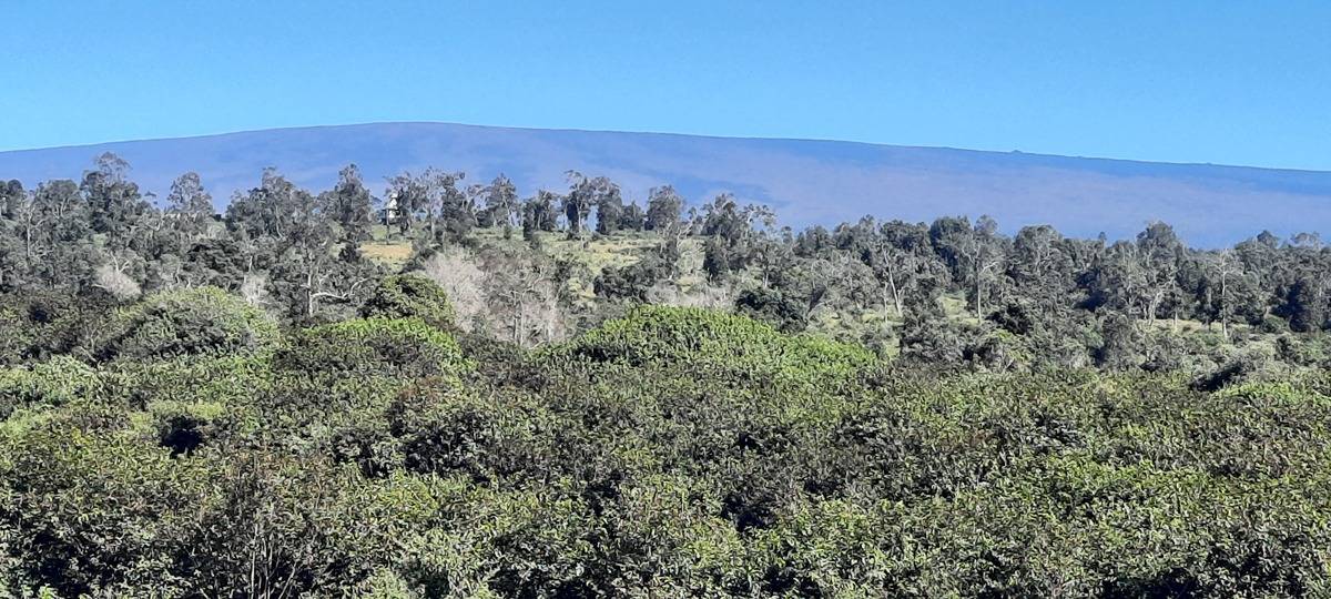 1 PUU LEHUA DR KEALAKEKUA HI 96704