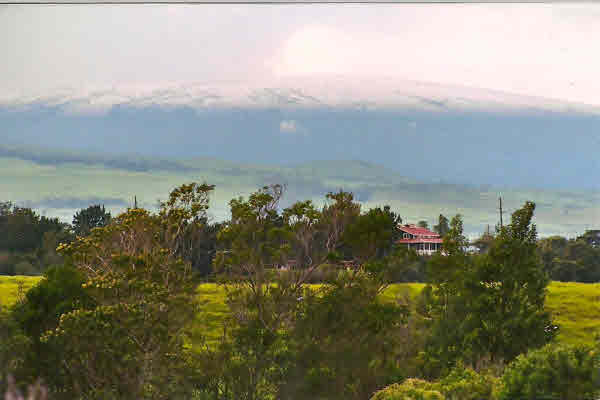 66-1434 Puu Huluhulu Rd main photo Kamuela real estate - 66-1434 Puu Huluhulu Rd - Kamuela HA homes for sale