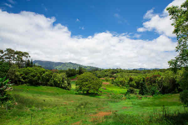 6130 OLOHENA RD, Kapaa, HI 96746