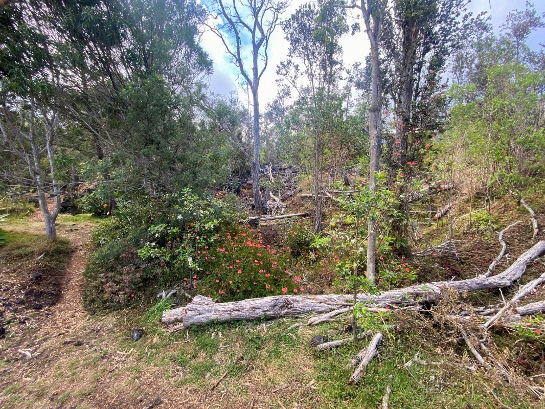 Big Island Listing Image