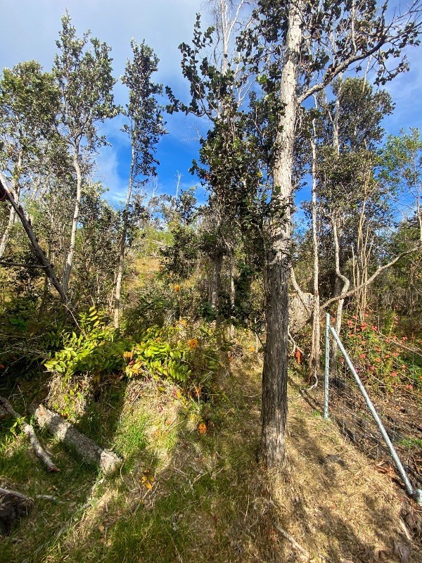 Big Island Listing Image