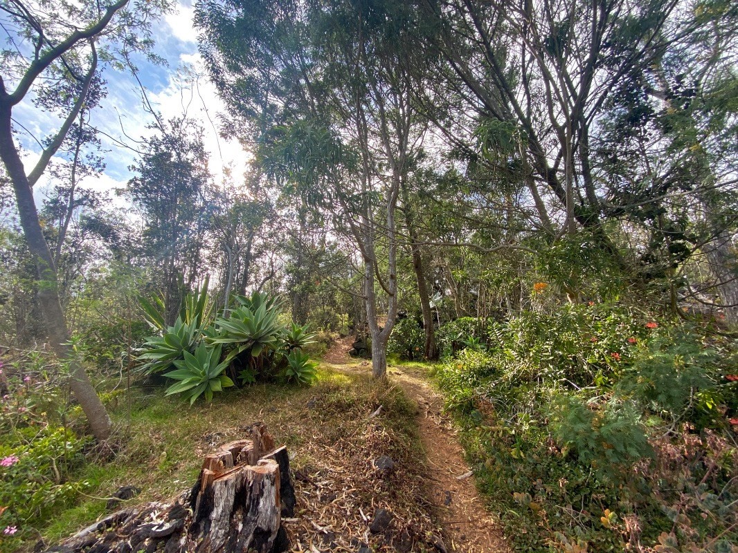 Big Island Listing Image