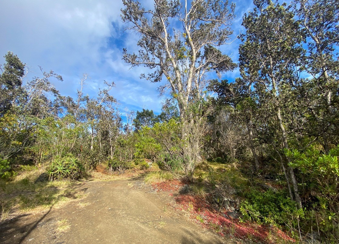 Big Island Listing Image