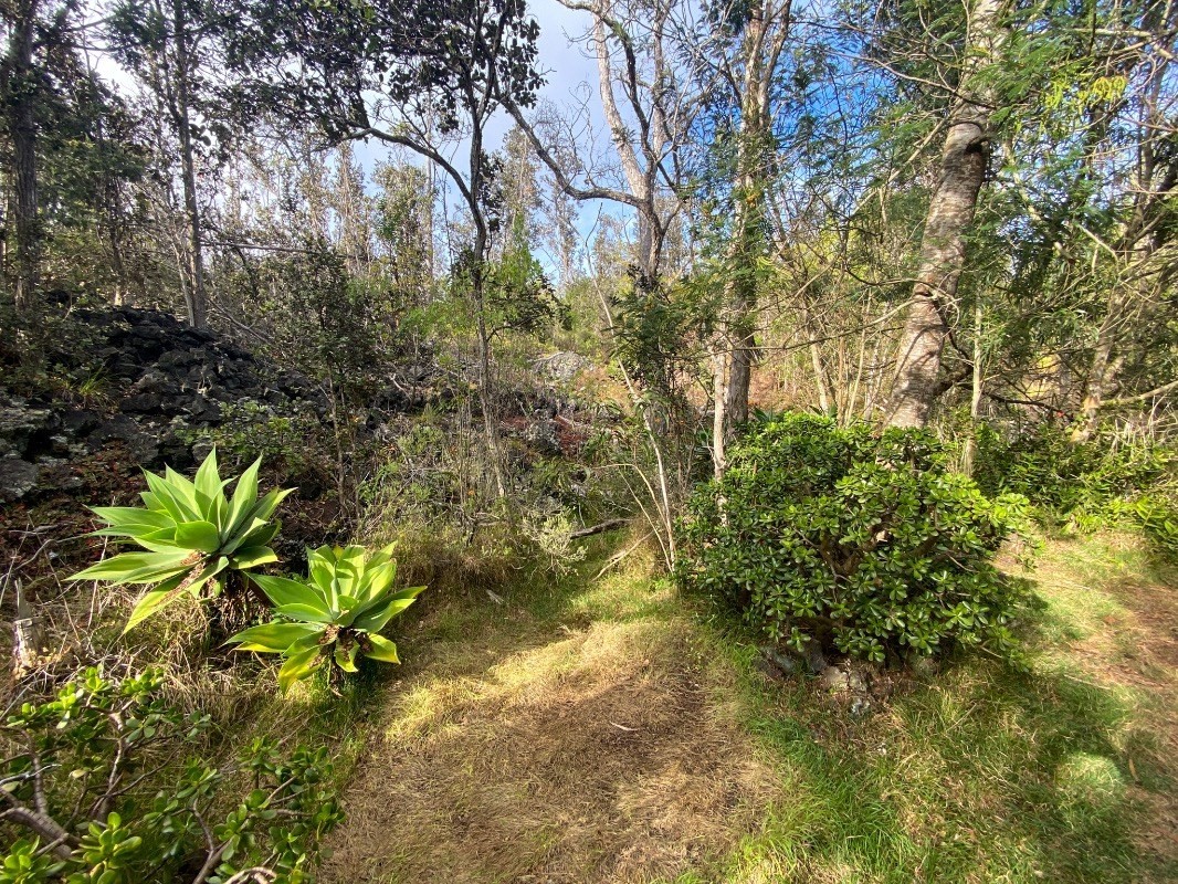 Big Island Listing Image