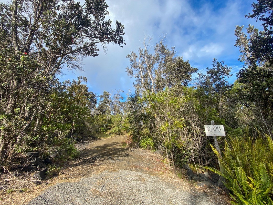 Big Island Listing Image