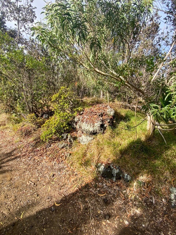 Big Island Listing Image