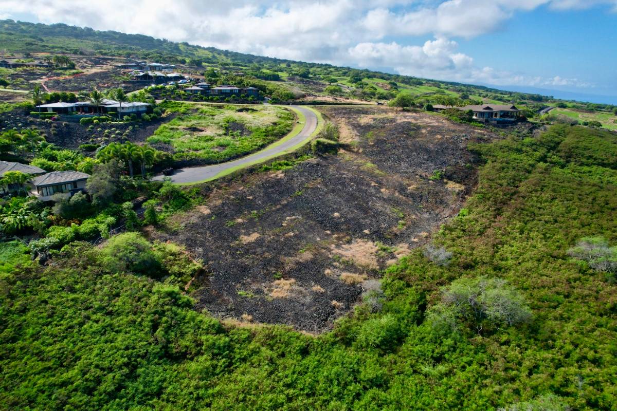 Big Island Listing Image