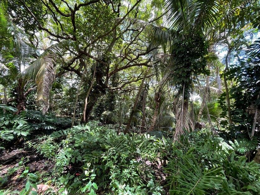 LOVELL SUBD. RD PAHOA HI 96778