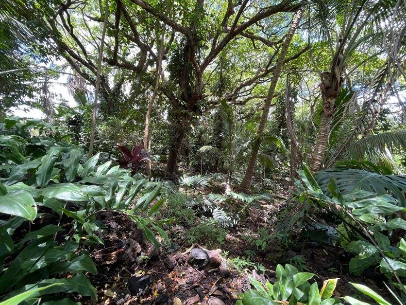 LOVELL SUBD. RD PAHOA HI 96778