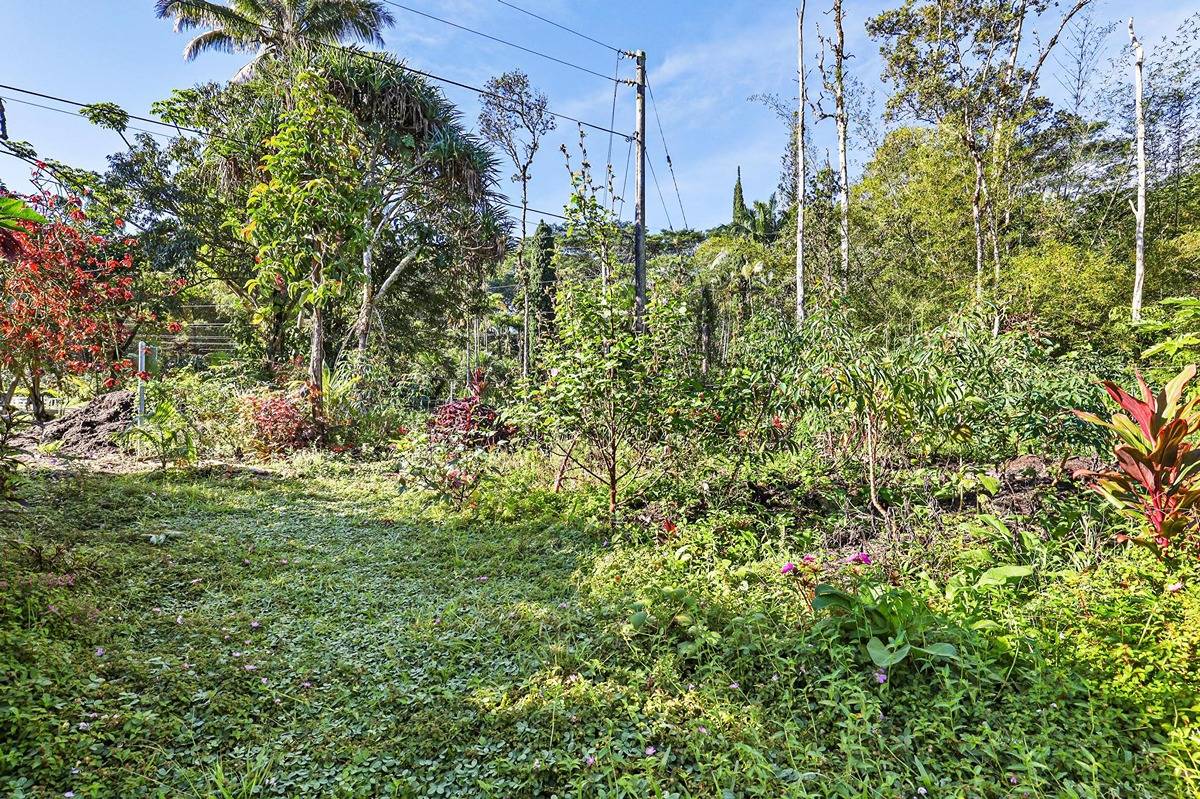 MAUI RD PAHOA HI 96778
