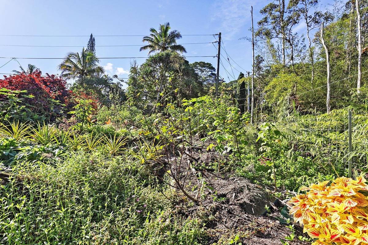 MAUI RD PAHOA HI 96778