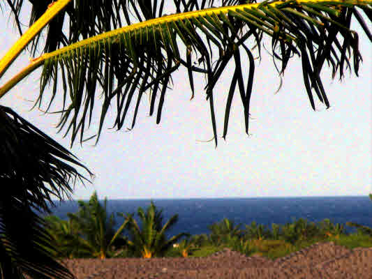 MLS# 237387 Villages At Mauna Lani, #704 Mauna Lani Resort MLS# 237387 Villages At Mauna Lani, #704 Mauna Lani Resort