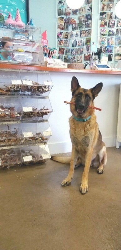 Big Island Listing Image