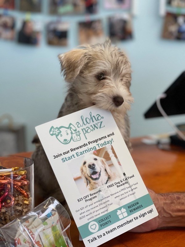 Big Island Listing Image